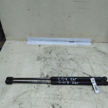 amortizator-kryski-bagaznika-citroen-c3-art-51603-big-0