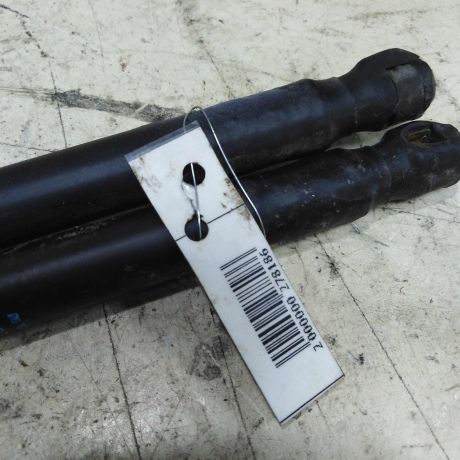 amortizator-kryski-bagaznika-citroen-c3-art-51603-big-1