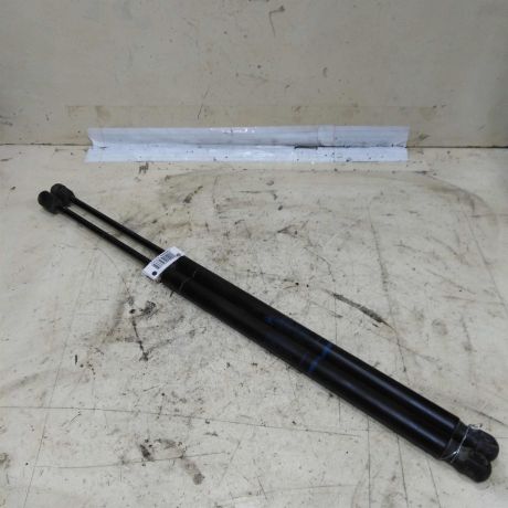 amortizator-kryski-bagaznika-renault-scenic-2-art-52128-big-0