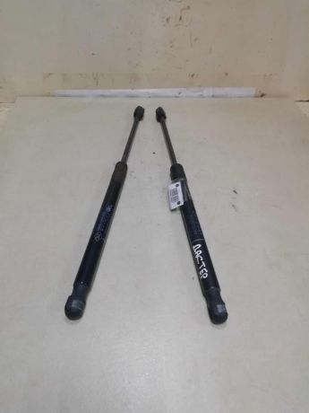 amortizator-kryski-bagaznika-renault-duster-i-art-58337-big-0