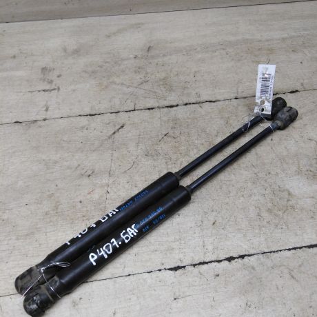 amortizator-kryski-bagaznika-peugeot-407-art-63033-big-0
