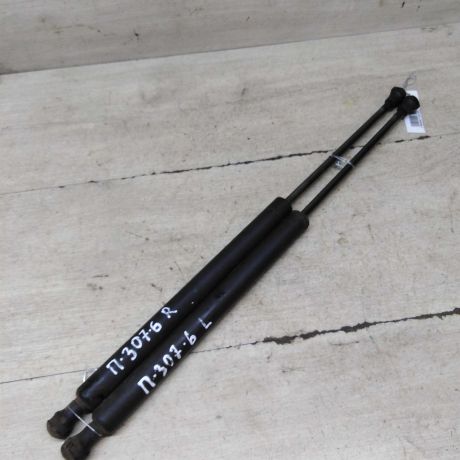 amortizator-kryski-bagaznika-peugeot-307-do-rest-art-71676-big-0