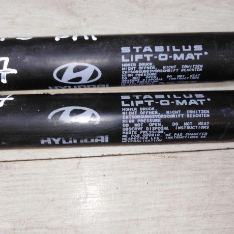 amortizator-kryski-bagaznika-hyundai-sonata-4-ef-art-72282-big-1