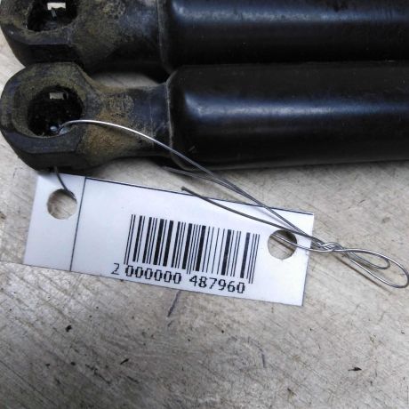 amortizator-kryski-bagaznika-upor-renault-sandero-stepway-ii-renault-sandero-ii-art-76907-big-1