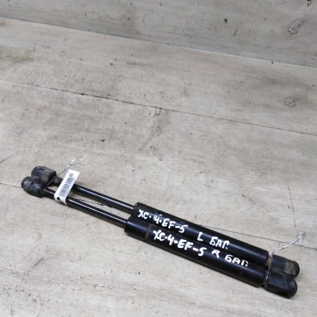 amortizator-bagaznika-upor-hyundai-sonata-4-ef-art-84687-big-0