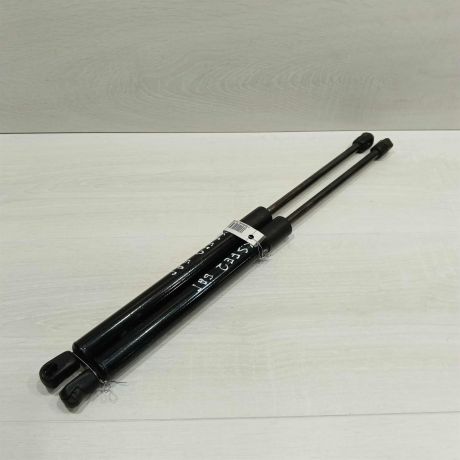 amortizator-kryski-bagaznika-upor-hyundai-santa-fe-ii-art-98549-big-0