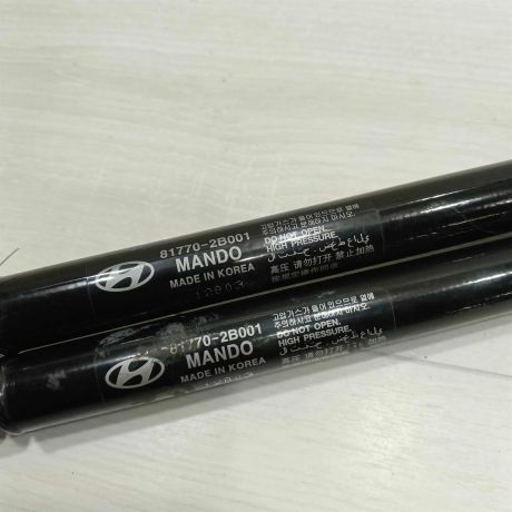 amortizator-kryski-bagaznika-upor-hyundai-santa-fe-ii-art-98549-big-3