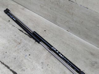 amortizatory-kryski-bagaznika-renault-scenic-i-dorestailing-art-105647