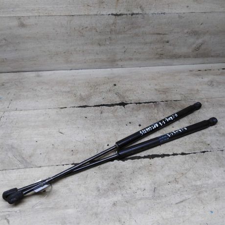 amortizator-kryski-bagaznika-upor-renault-sandero-i-art-108484-big-0