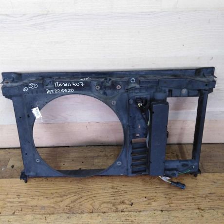 peredniaia-panel-televizor-peugeot-307-art-34771-big-0