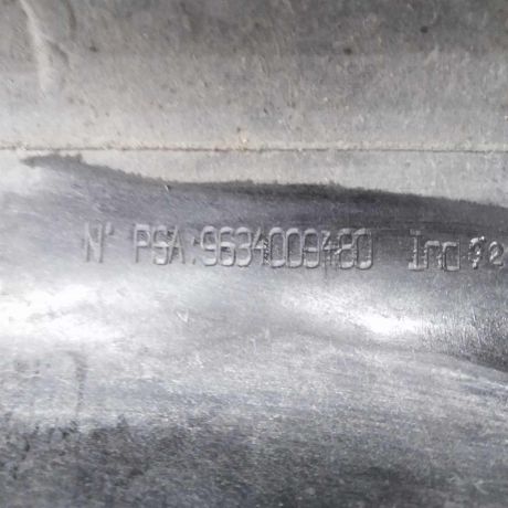 peredniaia-panel-televizor-peugeot-307-art-34771-big-2