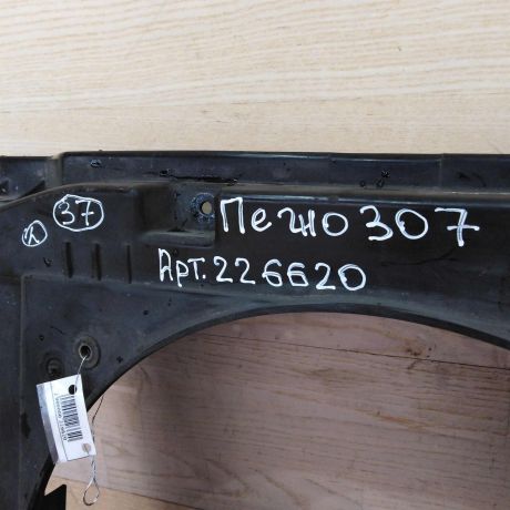 peredniaia-panel-televizor-peugeot-307-art-34771-big-3