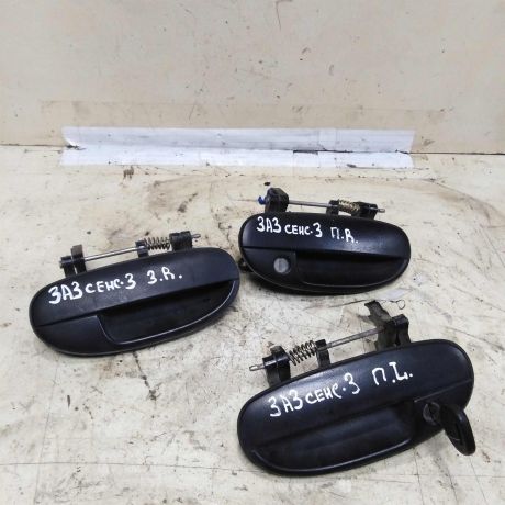 rucka-dveri-naruznaia-zaz-sens-13i-art-53553-big-0