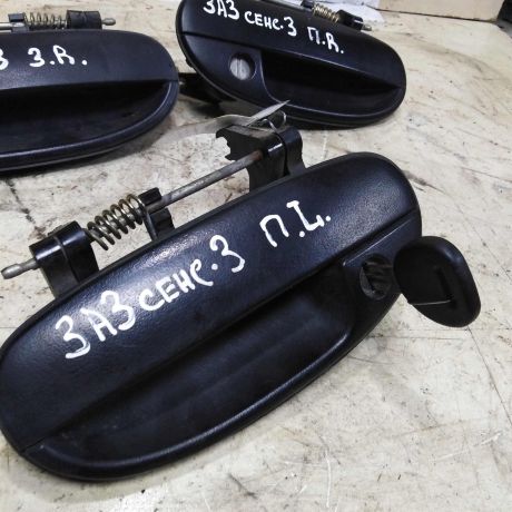 rucka-dveri-naruznaia-zaz-sens-13i-art-53553-big-3