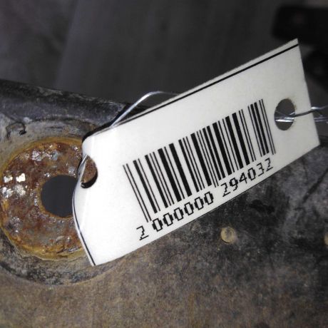 bryzgovik-mitsubishi-lancer-9-art-66221-big-2