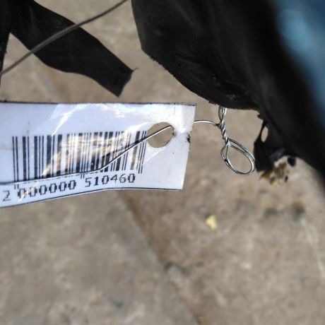 krysa-kuzova-fiat-albea-i-art-86151-big-1