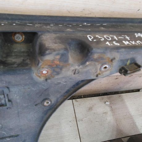 peredniaia-panel-televizor-peugeot-307-art-100256-big-4