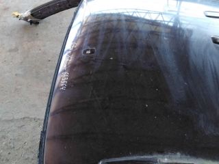 krysa-kuzova-geely-emgrand-x7-rodnoi-okras-art-103517