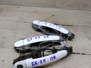 rucka-dveri-naruznaia-volkswagen-passat-b5-volkswagen-passat-b5-gp-art-107080