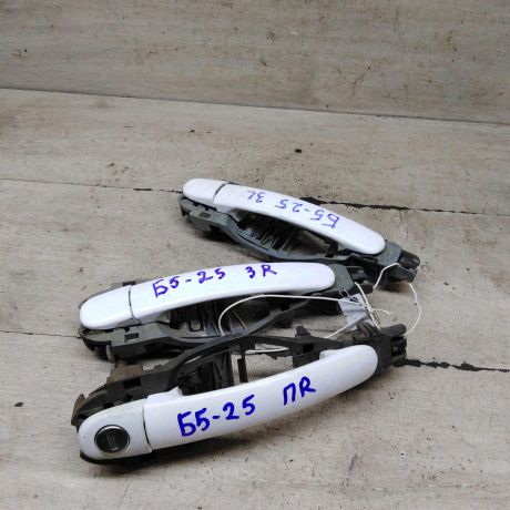 rucka-dveri-naruznaia-volkswagen-passat-b5-volkswagen-passat-b5-gp-art-107080-big-0