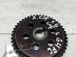 sesternia-skiv-raspredvala-hyundai-solaris-art-22101