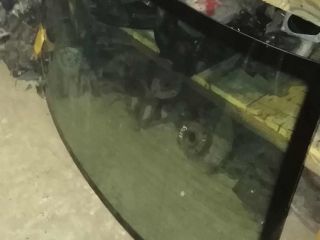 steklo-zadnee-audi-a6-c5-sedan-art-47175