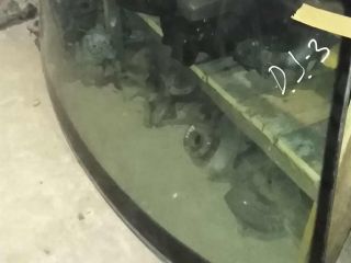 steklo-perednee-volkswagen-bora-volkswagen-jetta-4-art-47351