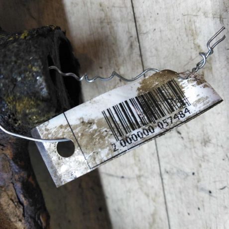 kollektor-vypusknoi-volkswagen-jetta-2-art-27624-big-3