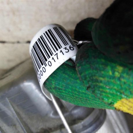 fara-peredniaia-pravaia-skoda-octavia-a5-dorestailing-art-92940-big-3