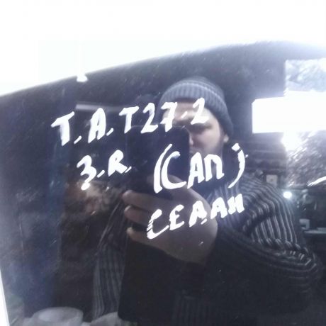 steklo-dveri-zadnee-pravoe-toyota-avensis-iii-art-99137-big-1