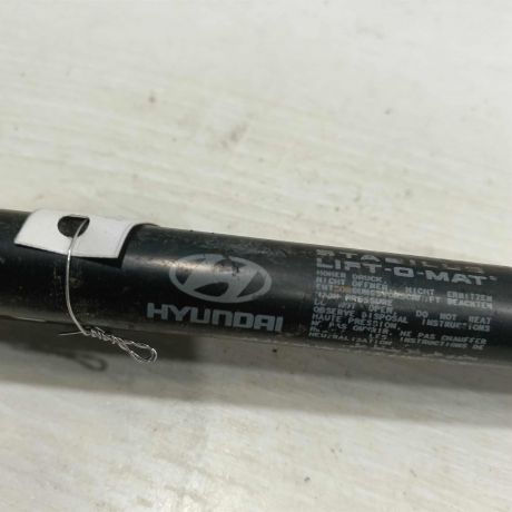 amortizator-kapota-hyundai-sonata-4-ef-art-107418-big-1