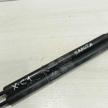 amortizator-kapota-hyundai-sonata-4-ef-art-107418-big-4