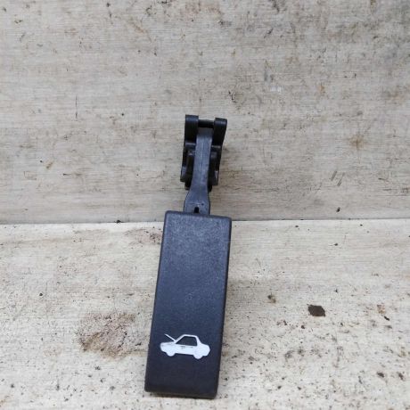 rucka-otkryvaniia-kapota-fiat-ducato-ii-art-112339-big-0