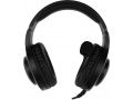 nausniki-s-mikrofonom-a4tech-g220s-usb-black-small-6