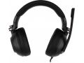 nausniki-s-mikrofonom-a4tech-g580-usb-black-small-9