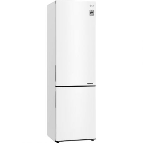 xolodilnik-lg-ga-b509cqcl-big-1