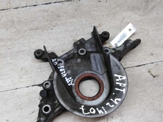 kryska-kolenvala-renault-logan-i-art-66674