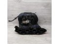 kollektor-vpusknoi-ford-focus-18i-eydk-art-75487-small-9