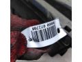 korpus-vozdusnogo-filtra-ford-focus-1-art-75642-small-6