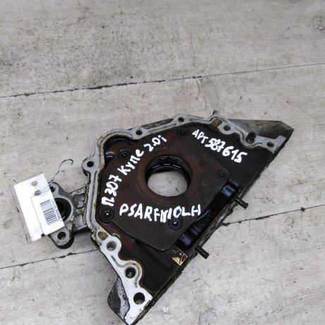 nasos-maslianyi-20i-peugeot-307-art-88774-big-1