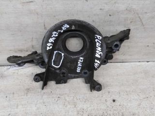 kryska-kolenvala-renault-symbol-i-art-96761