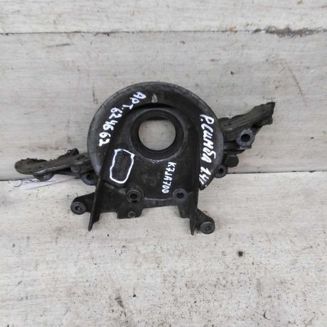 kryska-kolenvala-renault-symbol-i-art-96761-big-0