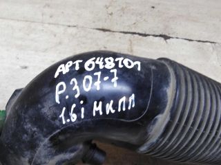 gofra-vozduxovoda-peugeot-307-art-100364