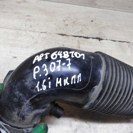 gofra-vozduxovoda-peugeot-307-art-100364-big-0