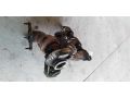 turbokompressor-turbina-volvo-s80-art-17692-small-3