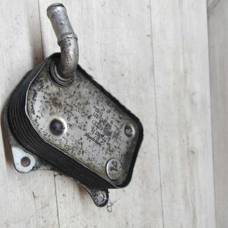 maslianyi-radiator-audi-a4-b7-art-31421-big-0