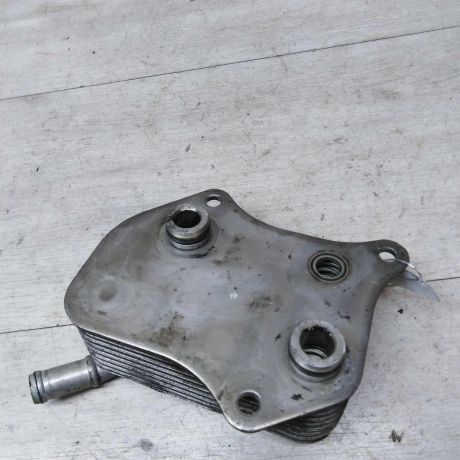 maslianyi-radiator-audi-a4-b7-art-31421-big-2