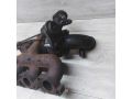 turbina-ford-transit-24-d2fa-2006-gv-art-39285-small-5