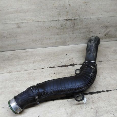 patrubok-interkulera-bzb-art-110522-big-0