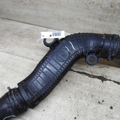 patrubok-interkulera-bzb-art-110522-big-2